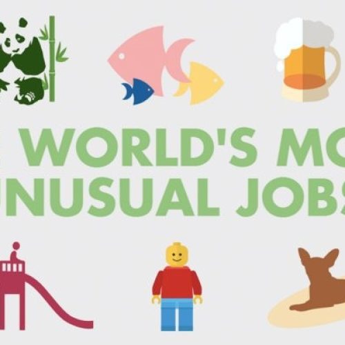 Quirky Jobs You’ve Never Heard Of: Highlighting Unusual Career Options